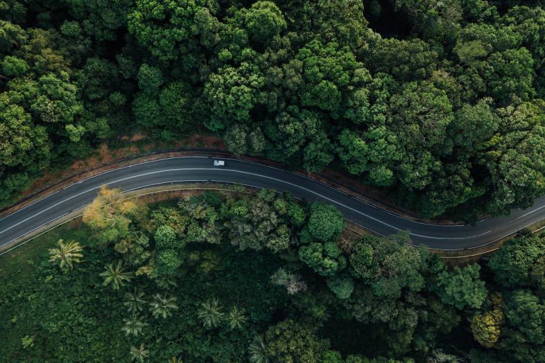 A truck driving down a road through trees