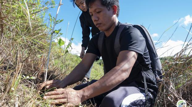EFL Philippines team planting a seedling
